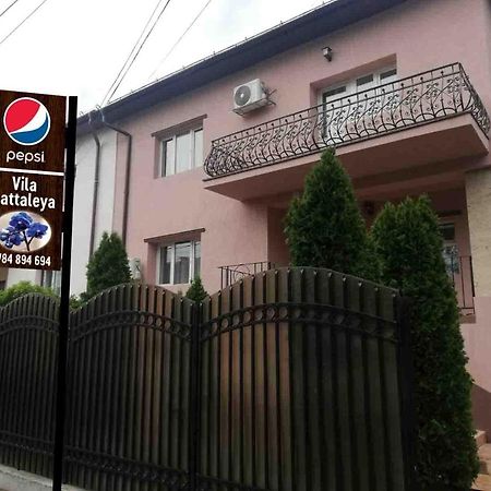Hotel Casa Cattleya Târgu Jiu Exterior foto